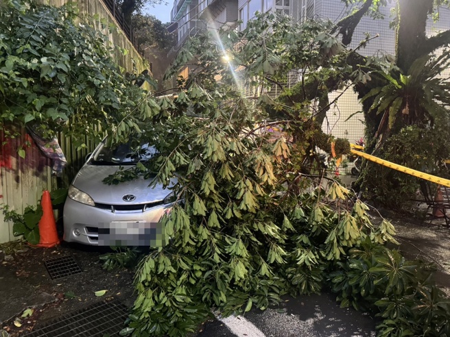 台灣新聞通訊社-大雨狂炸基隆!路樹突倒壓毀路邊車 警急封鎖速排除