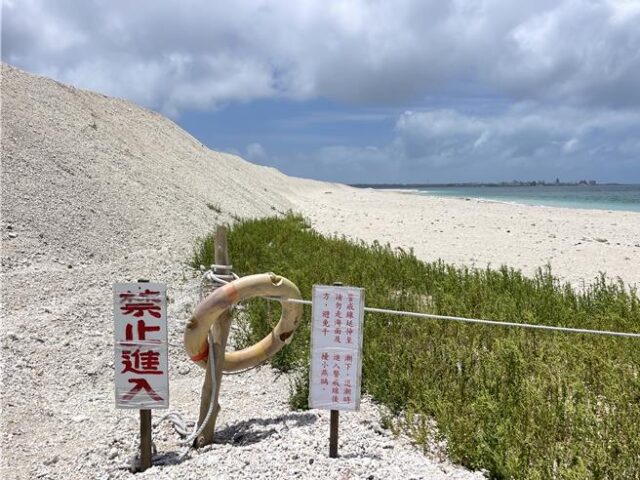 台灣新聞通訊社-澎湖小燕鷗繁殖季「一片死寂」縣府：鼠患是主因