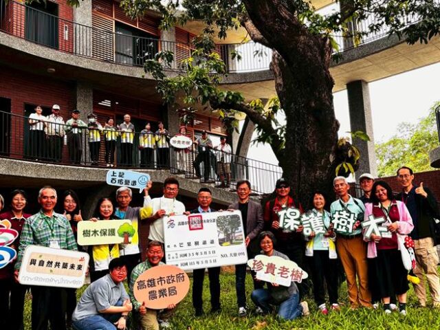 台灣新聞通訊社-「大寮091芒果」掛牌！見證綠建築與老樹共生