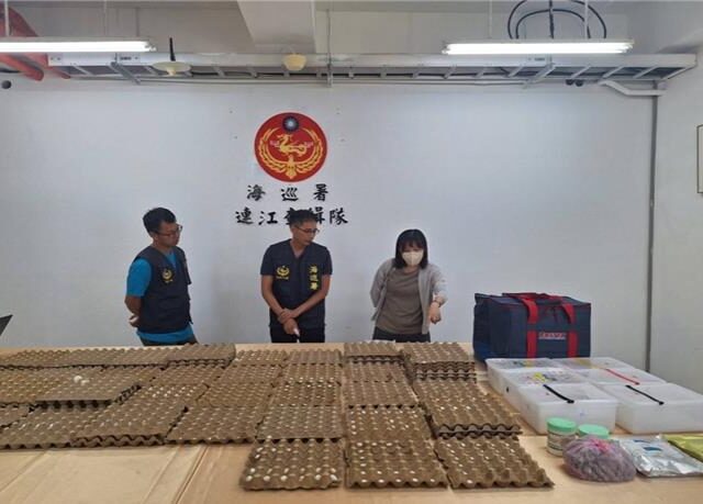 台灣新聞通訊社-史上最大宗鸚鵡蛋走私案 卻因「未遂」不起訴 海委會說話了