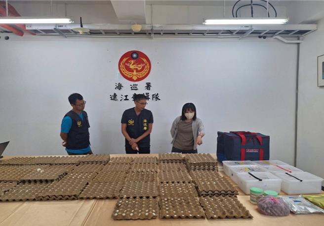 台灣新聞通訊社-史上最大宗鸚鵡蛋走私案 卻因「未遂」不起訴 海委會說話了