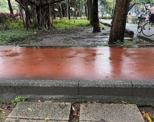 台灣新聞通訊社-新北公園步道暗藏15公分高低差 隱形陷阱害民眾受傷