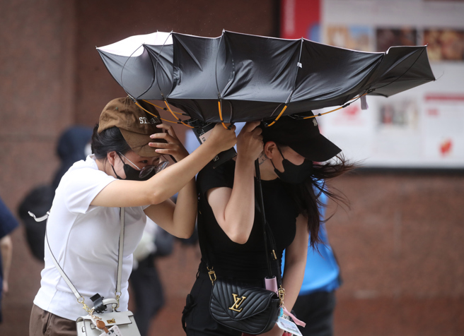台灣新聞通訊社-聖嬰現象提早且增強 專家曝影響：強颱會變多
