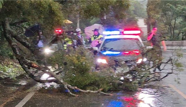 台灣新聞通訊社-頭份大雨路樹突倒塌    騎士遭擊中當場無生命跡象