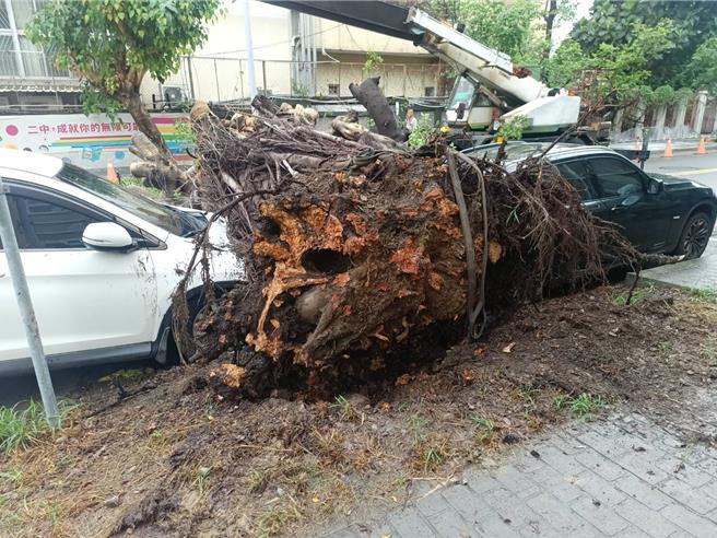 台灣新聞通訊社- 校園意外！台中二中老樹倒塌壓壞BMW 校方：觀察已久將理賠