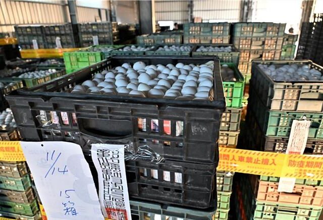 台灣新聞通訊社-芬普尼毒雞蛋案偵結  驗出「農藥殘留超標」 牧場負責人、蛋商起訴