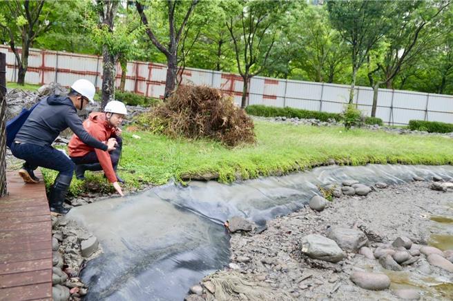 台灣新聞通訊社-水圳公園水池問題多 竹北市公所將以生態工法整治