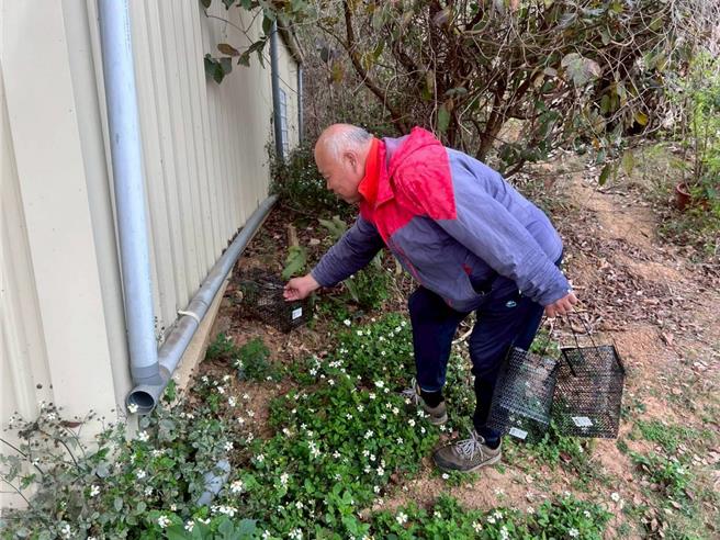 台灣新聞通訊社-金門防疫大作戰啟動 備妥滅鼠物資防鼠患與恙蟲威脅