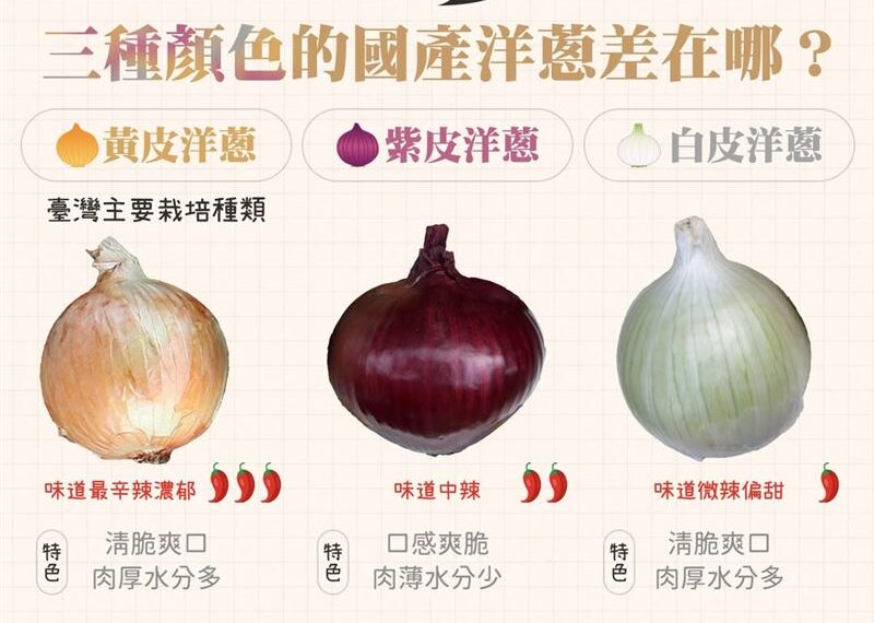 台灣新聞通訊社-洋蔥降血脂防癌！黃紫白3色怎麼挑？農業部揭：這種最甜、這樣挑更耐放