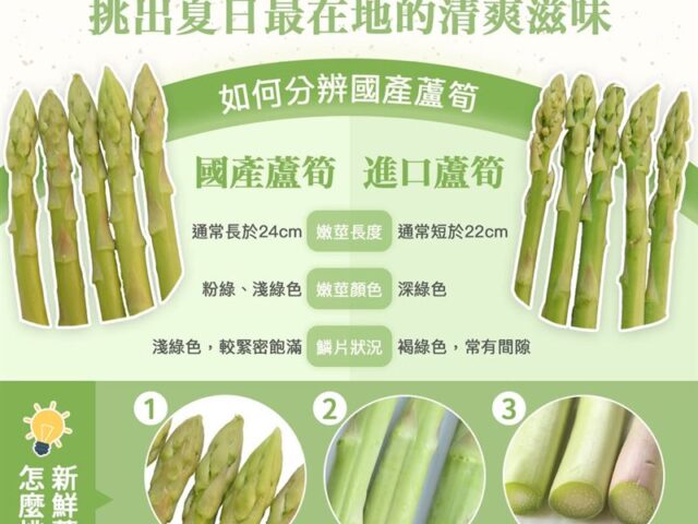 台灣新聞通訊社-立夏吃「蘆筍」消疲勞　農業部曝「2大保存法」維持含水口感：要直立放