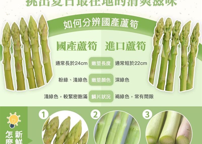 台灣新聞通訊社-立夏吃「蘆筍」消疲勞　農業部曝「2大保存法」維持含水口感：要直立放