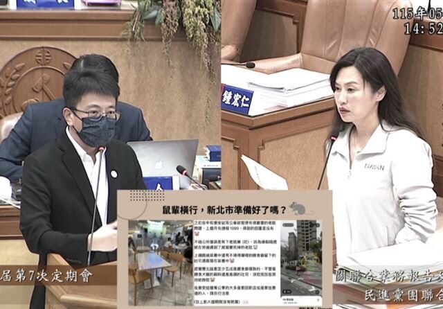 台灣新聞通訊社-鼠患燒新北？張嘉玲曝「老鼠現蹤中和」：餵流浪貓狗的食物變老鼠自助餐