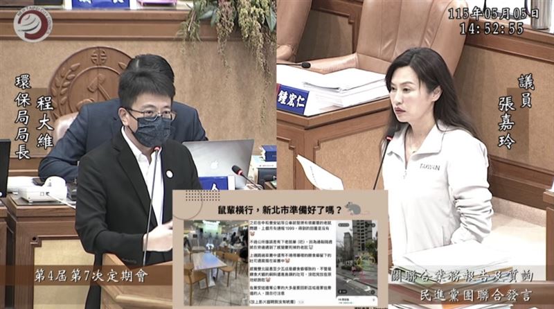 台灣新聞通訊社-鼠患燒新北？張嘉玲曝「老鼠現蹤中和」：餵流浪貓狗的食物變老鼠自助餐