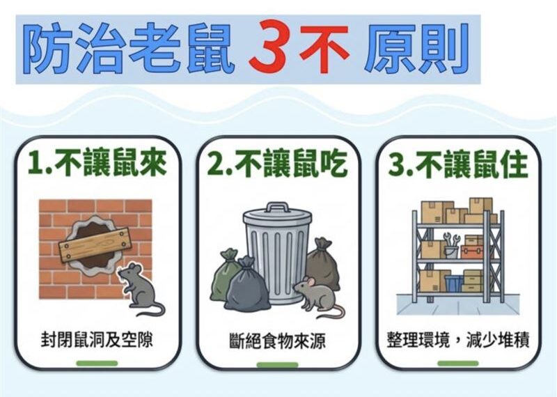 台灣新聞通訊社-老鼠可鑽10元孔！「防鼠3不」原則大公開　「這5處」快檢查封堵