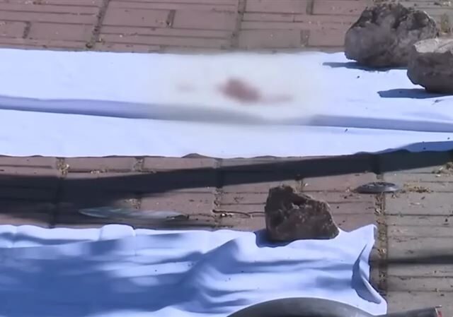 台灣新聞通訊社-24歲男猛刺17歲女頸部亡！路人營救也遭砍傷　逃亡11小時落網