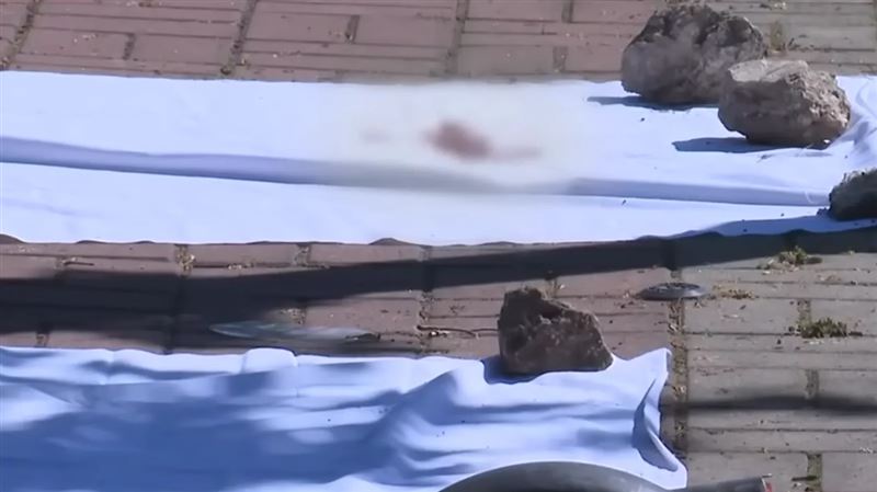 台灣新聞通訊社-24歲男猛刺17歲女頸部亡！路人營救也遭砍傷　逃亡11小時落網