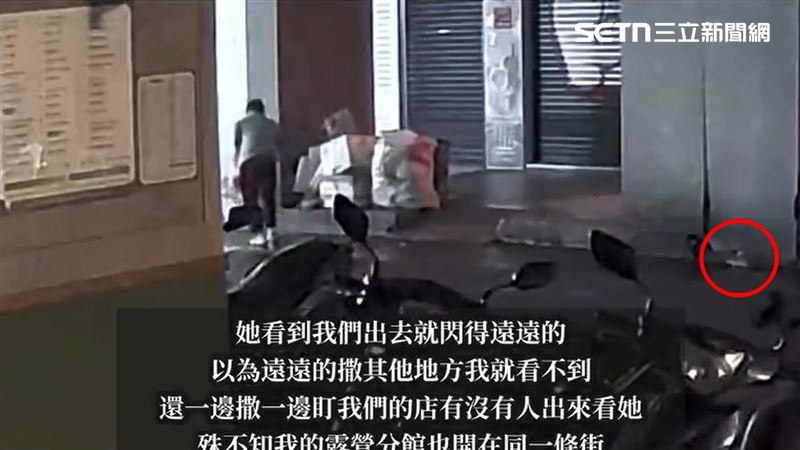 台灣新聞通訊社-嬤撒麵包丁餵老鼠！嗆店家亂噴藥：大家在殺生、只有我幫助生命