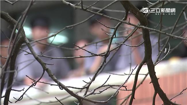 台灣新聞通訊社-高喊維護正義!闖北市國中堵3男學生 刺青男袖藏碎冰棍嚇壞組長