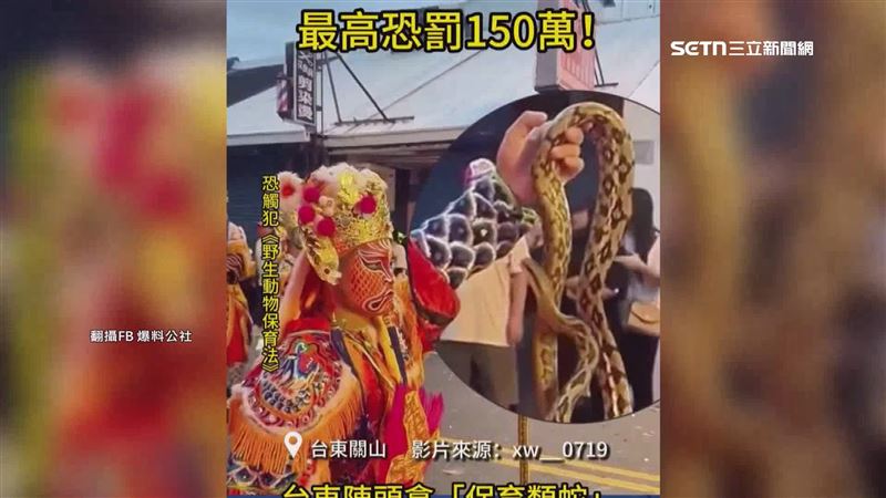 台灣新聞通訊社-遶境神將手持「保育類黑眉錦蛇」 民眾驚:太可怕