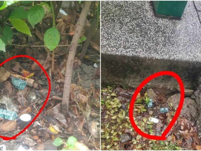 台灣新聞通訊社-北市猛灑鼠藥惹議！恐誤食釀悲劇　醫：全身出血衰竭
