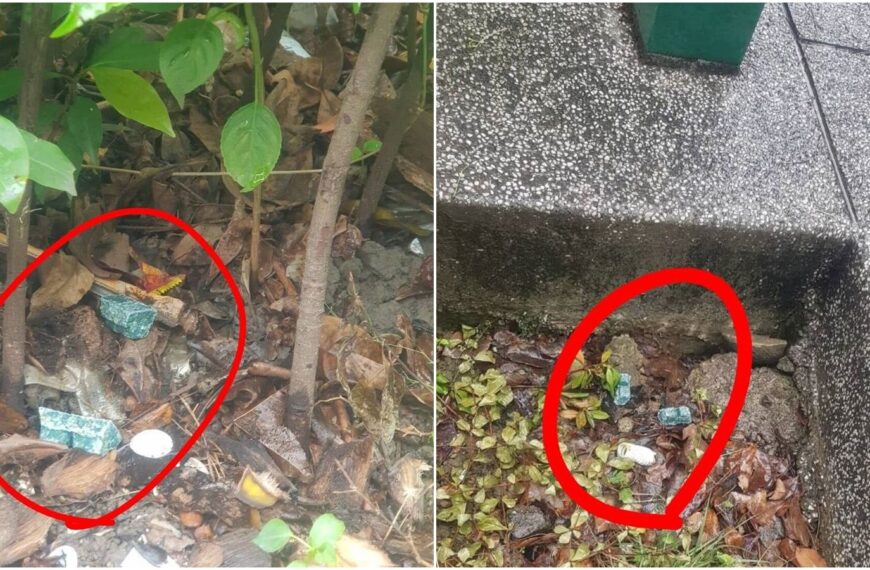 台灣新聞通訊社-北市猛灑鼠藥惹議！恐誤食釀悲劇　醫：全身出血衰竭