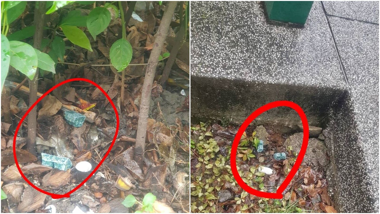 台灣新聞通訊社-北市猛灑鼠藥惹議！恐誤食釀悲劇　醫：全身出血衰竭