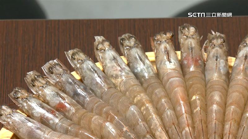 台灣新聞通訊社-宏都拉斯白蝦死裡逃生！台灣不買加上中國跳票 全靠這國狂掃貨神救援