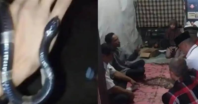 台灣新聞通訊社-玩命玩過頭！少年拿劇毒眼鏡蛇拍片　遭狠咬後1死1命危