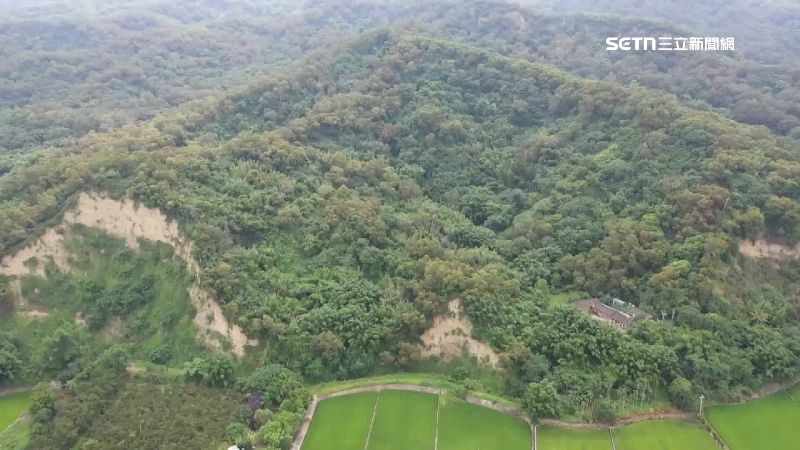 台灣新聞通訊社-獨家／罕見！50隻「山壁猴」大軍　集體攀爬火炎山陡坡
