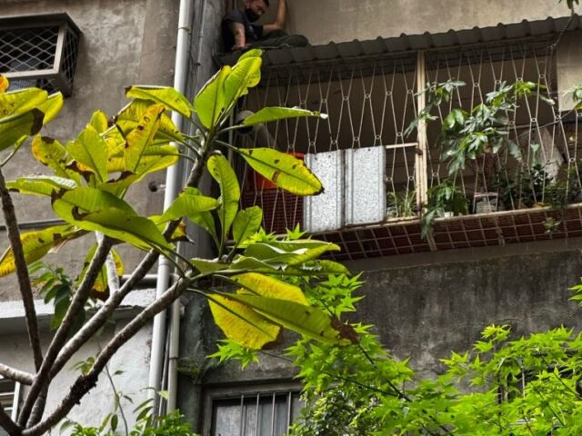 台灣新聞通訊社-有小偷卡在陽台外！笨賊攀4樓公寓腿軟受困　消防隊鋸鐵窗救援警再逮人