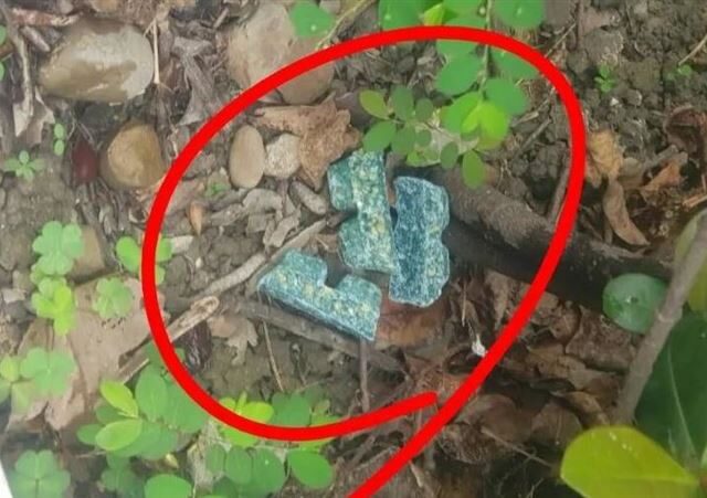 台灣新聞通訊社-安鼠之亂狂投藥！蔣萬安扯「中央核可」　律師：國共兩黨都搞無差別處事