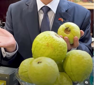 台灣新聞通訊社-台灣技術團深耕史瓦帝尼！總統賴清德介紹成果：紅心芭樂見證台史邦誼