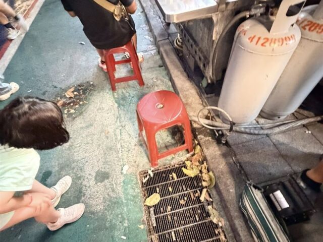 台灣新聞通訊社-士林夜市直擊老鼠不怕人！律師諷蔣市府：米奇這麼多可以跟迪士尼招商