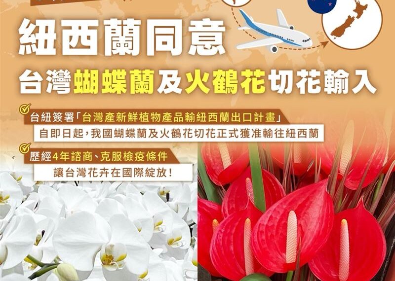 台灣新聞通訊社-再傳捷報!年產值48億蝴蝶蘭「進攻紐西蘭」 台花卉外銷版圖再擴張