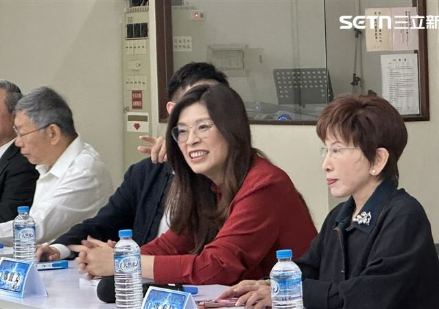 台灣新聞通訊社-堅持「3800億＋Ｎ」軍購　鄭麗文曝縣市長候選人都挺：有壓力甩鍋給我扛