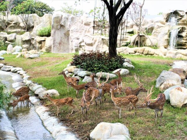 台灣新聞通訊社-6大遊樂園「5月壽星免費、全票99元」！　勞動節連假優惠懶人包