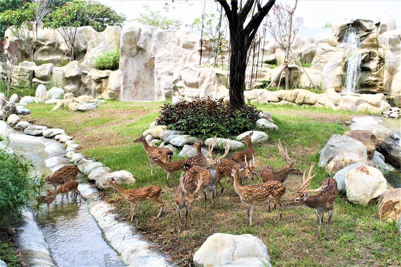 台灣新聞通訊社-6大遊樂園「5月壽星免費、全票99元」！　勞動節連假優惠懶人包