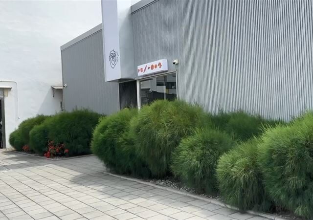台灣新聞通訊社-監視器還原真相！美菊披薩負責人打破沉默　駁斥「翻錢包」不實指控