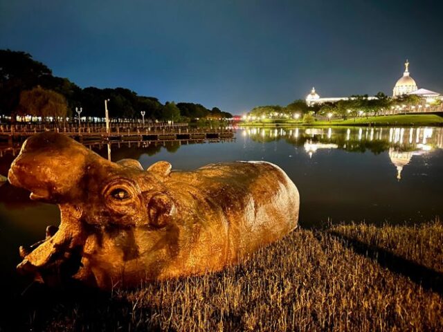 台灣新聞通訊社-奇美河馬地標「洪水避難」漂40米　網笑：博物館驚魂夜？