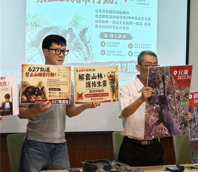 台灣新聞通訊社-誤捕31黑熊9石虎！動保團體6／27上凱道 爭禁用山豬吊