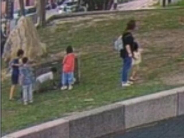 台灣新聞通訊社-鹿港誘捕流浪犬亂象橫生！小孩鑽籠嬉戲、大人私自放狗