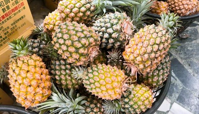 台灣新聞通訊社-台東金鑽鳳梨收購價跌至每斤10元 農民嘆僅打平收支