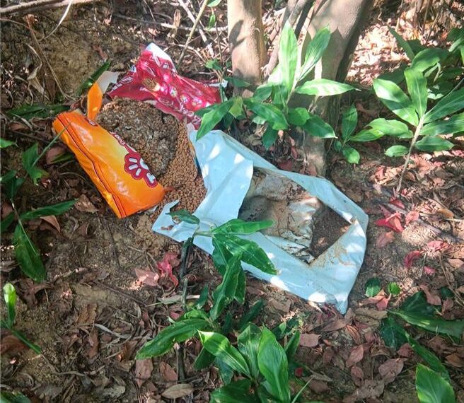 台灣新聞通訊社-仁義潭科技捕犬屢遭「人為幫倒忙」 家畜所祭鐵腕：依法辦理