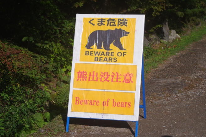 台灣新聞通訊社-影》黑熊駭人追咬！日本福島鋼鐵廠員工「連滾帶爬」畫面曝