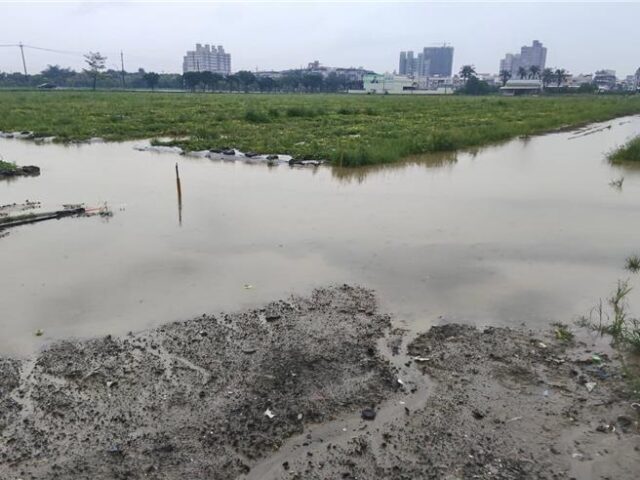 台灣新聞通訊社-水深60公分！高雄瓜果遭豪雨重創 農民訴：百萬心血全泡水