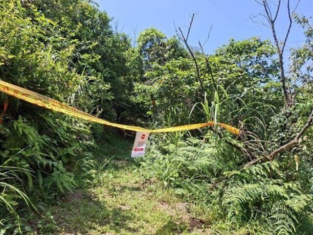 台灣新聞通訊社-登山友注意！瑞芳3步道「暫停開放」 避免蜂螫風險
