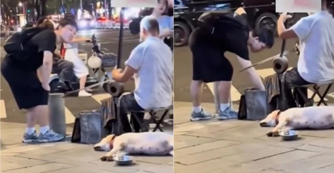 台灣新聞通訊社-太缺德!失明老翁街頭賣藝遭竊 網友怒斥:拍攝者竟不救