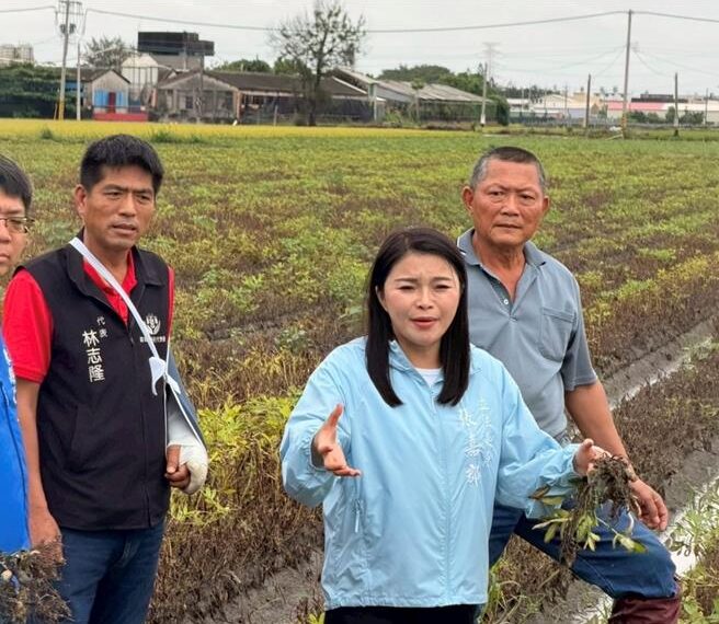 台灣新聞通訊社-豪雨重創雲林花生 張嘉郡籲從速、從寬、從簡補助