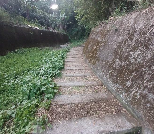 台灣新聞通訊社-遊客苔蘚牆上亂刻字 石牌坑美景受損轟素養不足