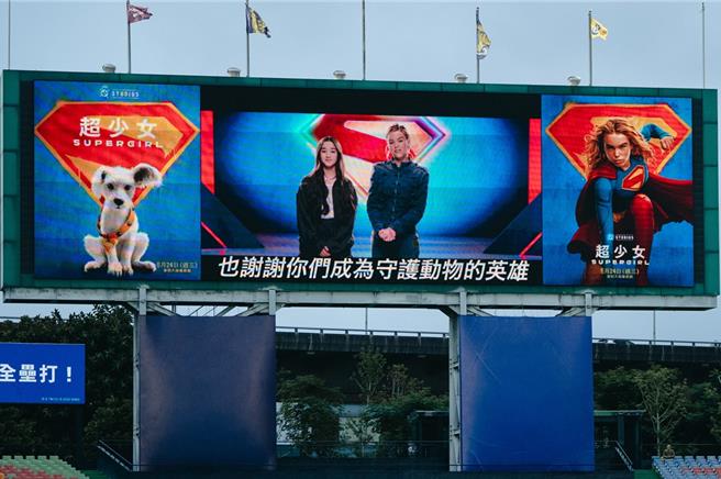 台灣新聞通訊社-「超狗」太萌遭兄弟啦啦隊包圍合影！《超少女》跨海喊話